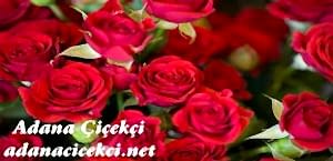 Aladağ Çiçekçi